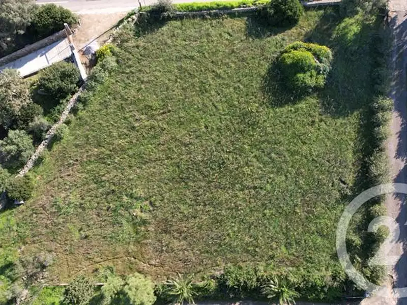 Terrain