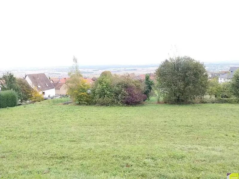 Terrain