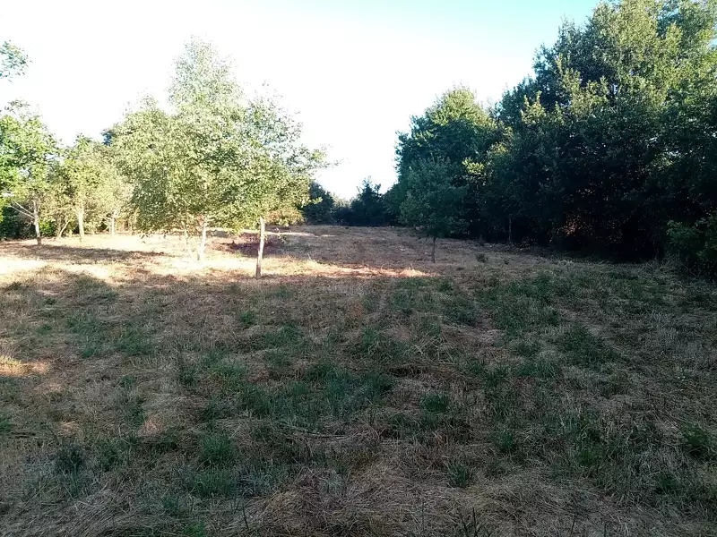 Terrain, 2 160 m²