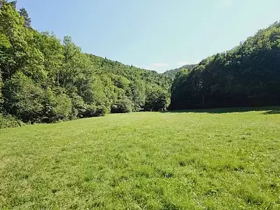 Maison, 295 m²