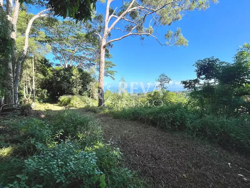 Terrain, 1 000 m²