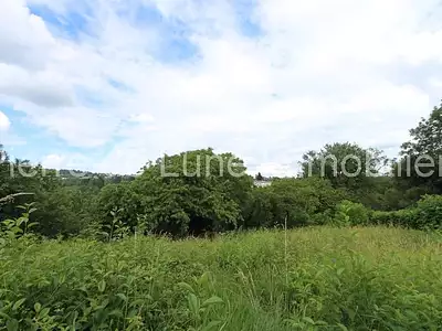 Terrain, 3 180 m²