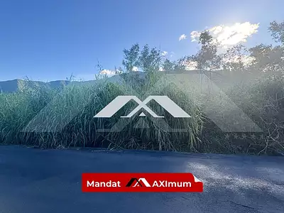 Terrain, 3 980 m²