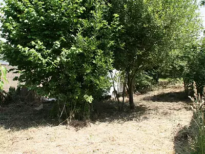 Maison, 239 m²