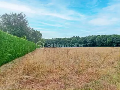 Terrain, 6 614 m²