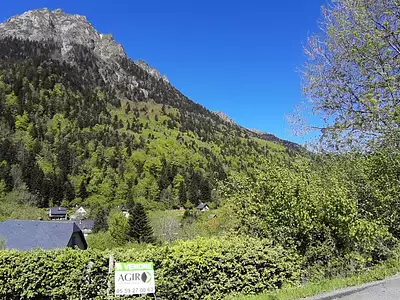 Terrain