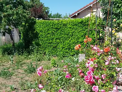 Maison, 83 m²
