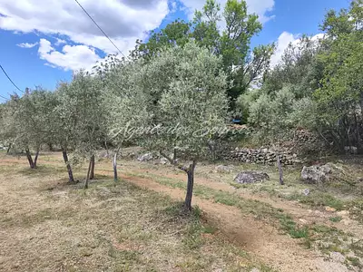 Terrain, 917 m²