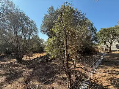 Terrain, 1 440 m²