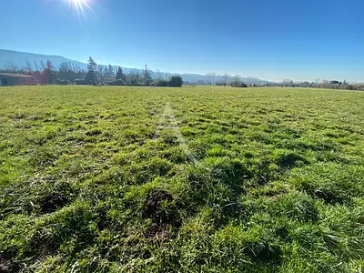 Terrain, 816 m²