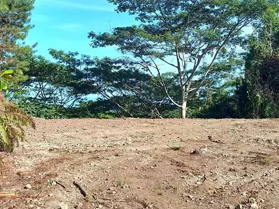 Terrain, 5 000 m²
