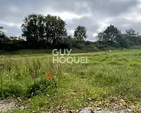 Terrain, 320 m²