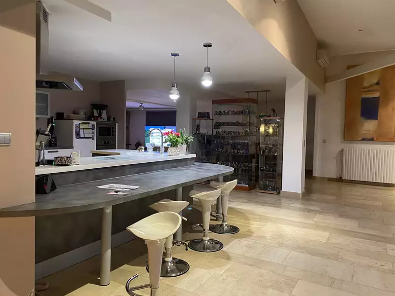 Maison, 290 m²