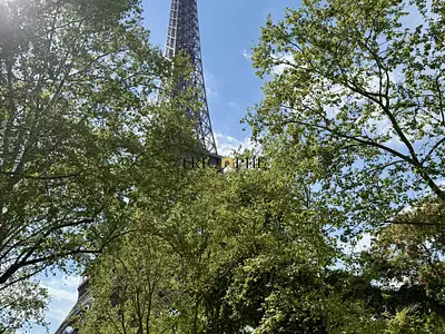 Appartement, 355,19 m²