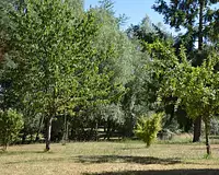 Maison, 170 m²