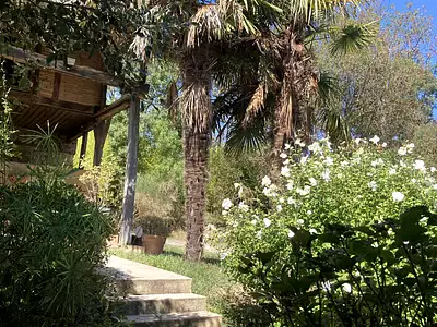 Maison, 233 m²