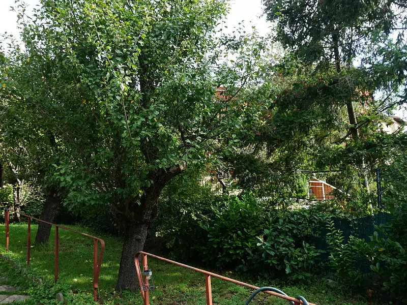 Maison, 75 m²