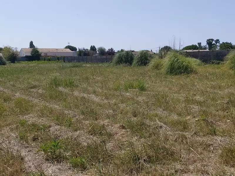 Terrain, 2 950 m²