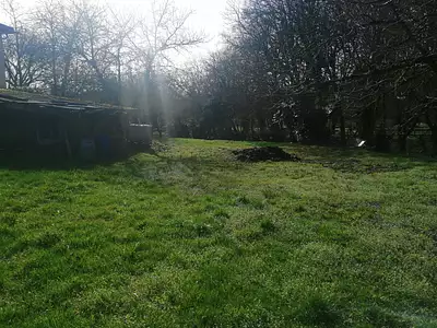 Terrain, 1 215 m²