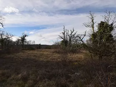 Terrain, 2 750 m²