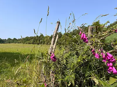 le Clos des Lys (La Paquelais)