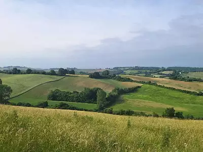 Terrain, 3 000 m²