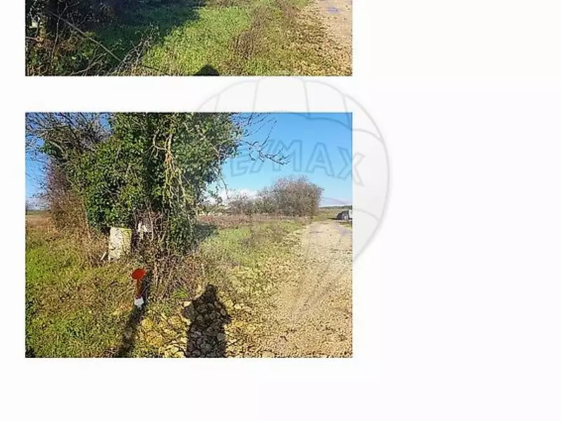 Terrain, 511 m²