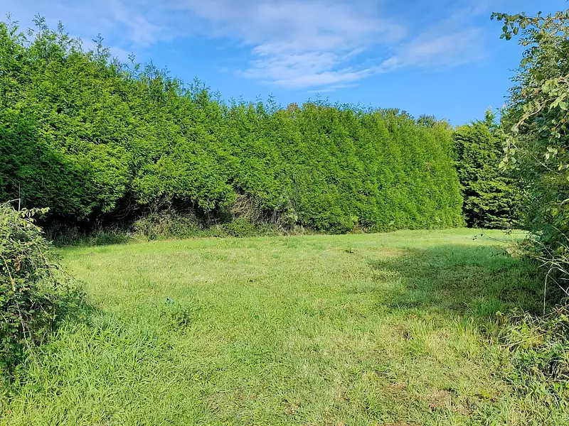 Terrain, 1 128 m²