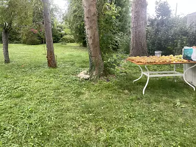 Maison, 70 m²