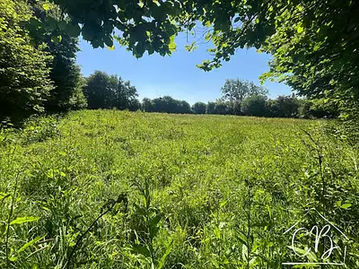 Terrain, 4 671 m²