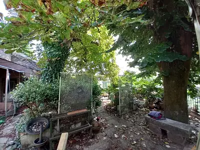 Maison, 350 m²
