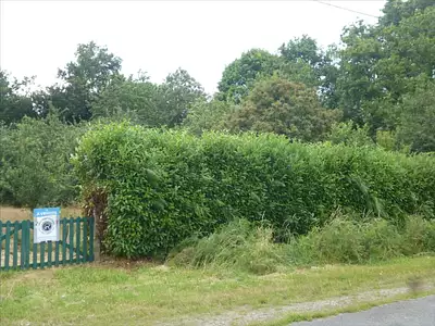 Terrain, 2 066 m²
