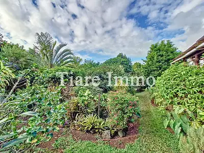 Terrain, 5 000 m²