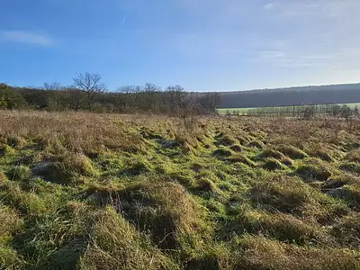 Terrain, 4 000 m²