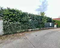 Terrain, 231 m²