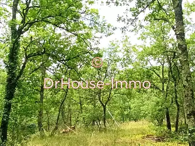 Terrain, 10 225 m²