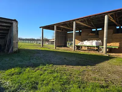 Terrain, 550 m²