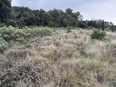 Terrain, 9 590 m²