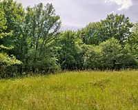 Terrain, 1 987 m²