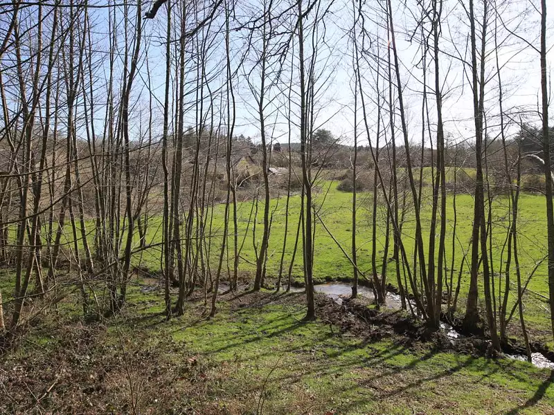 Maison, 1 500 m²