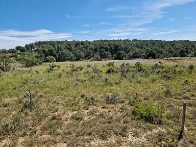 Terrain, 1 690 m²