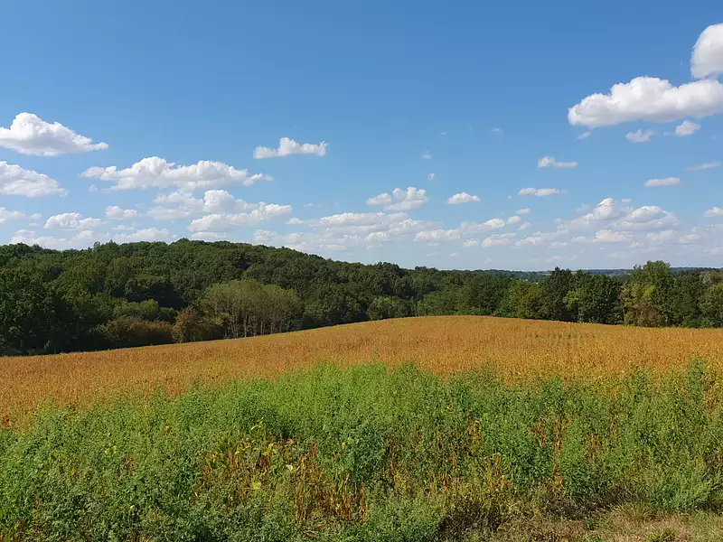 Terrain, 133 116 m²