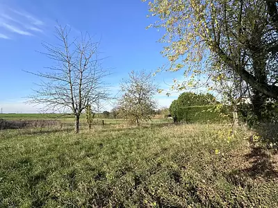 Terrain, 761 m²