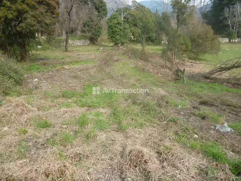 Terrain