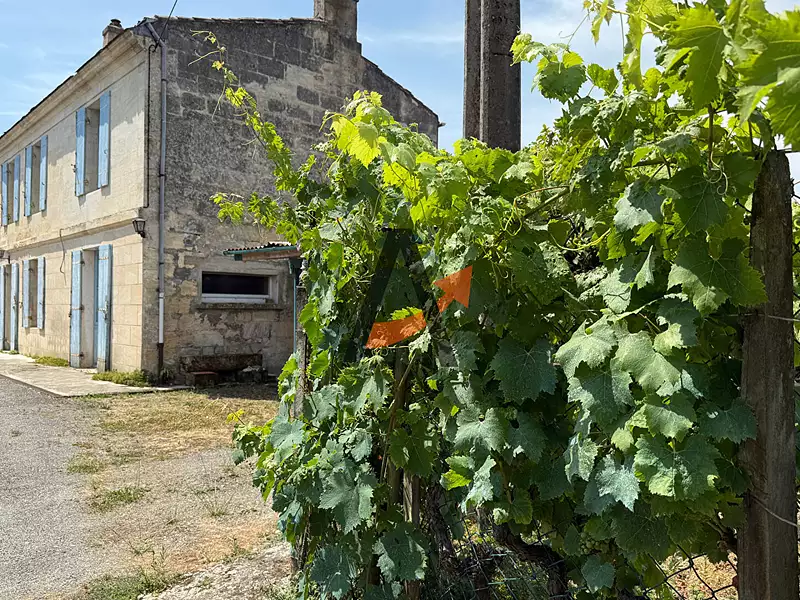 Maison, 120 m²