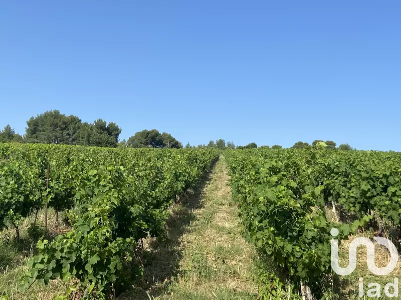 Terrain, 216 211 m²