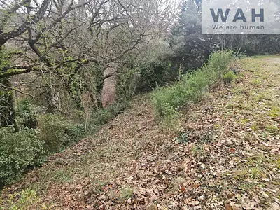 Terrain, 430 m²