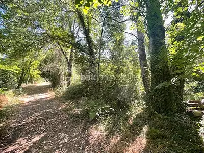 Terrain, 6 013 m²