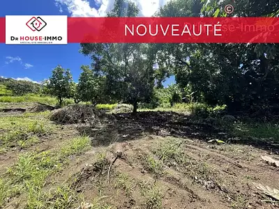 Terrain, 800 m²