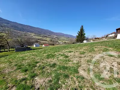 Terrain